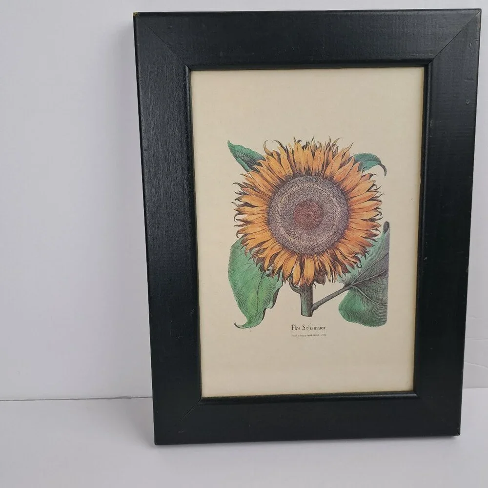 Flos Solismaior, Sunflower Floral Print